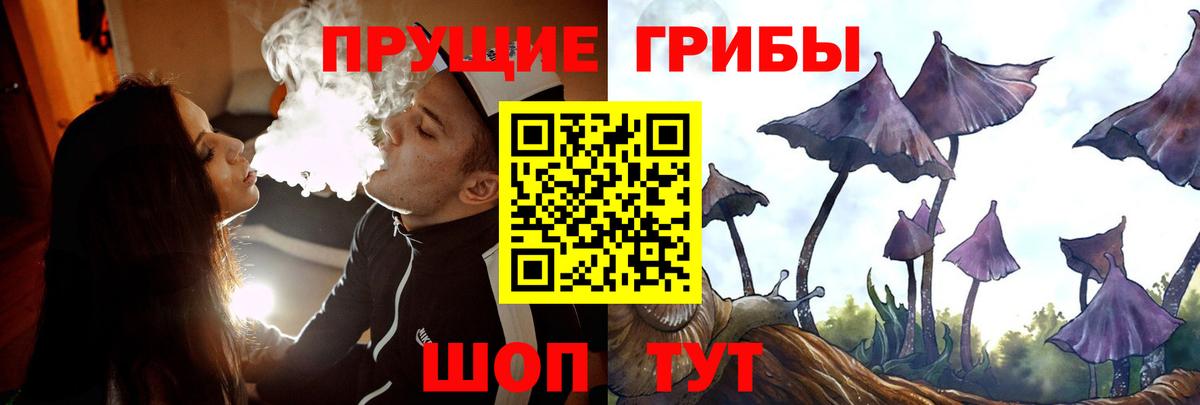 Галлюциногенные грибы GOLDEN TEACHER  Галлюциногенные грибы прущие грибы  Новочеркасск  Вход с VPN 